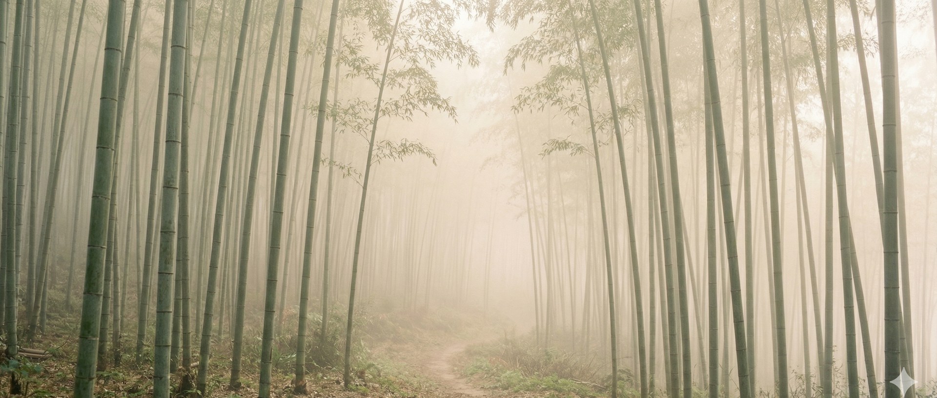 Bamboo grove in morning mist — cover image for GEM, a bilingual exploration of Yogācāra consciousness and cognitive science
